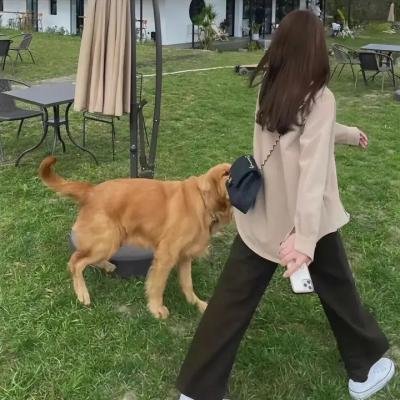 边境音暴
