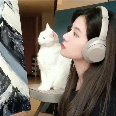 熊猫手札